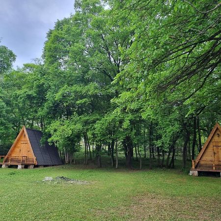 Wolf & Sheep Nature & Adventure Podgorica Exterior photo