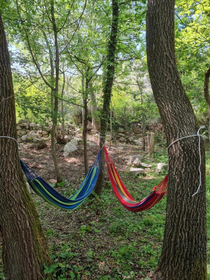 Wolf & Sheep Nature & Adventure Podgorica Exterior photo