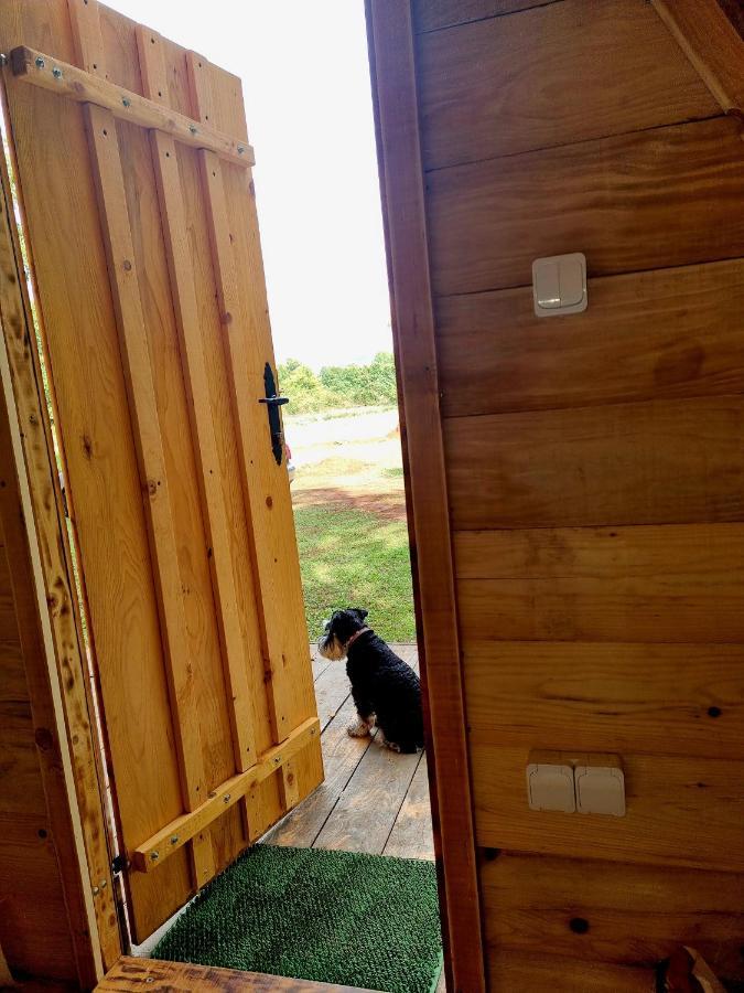 Wolf & Sheep Nature & Adventure Podgorica Exterior photo
