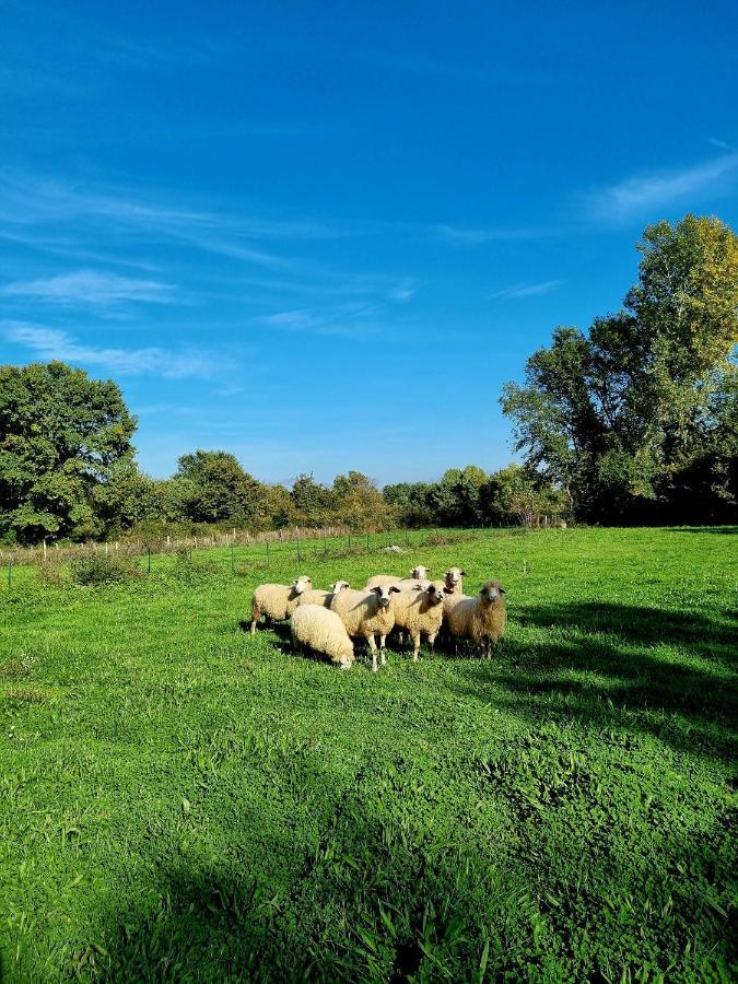 Wolf & Sheep Nature & Adventure Podgorica Exterior photo