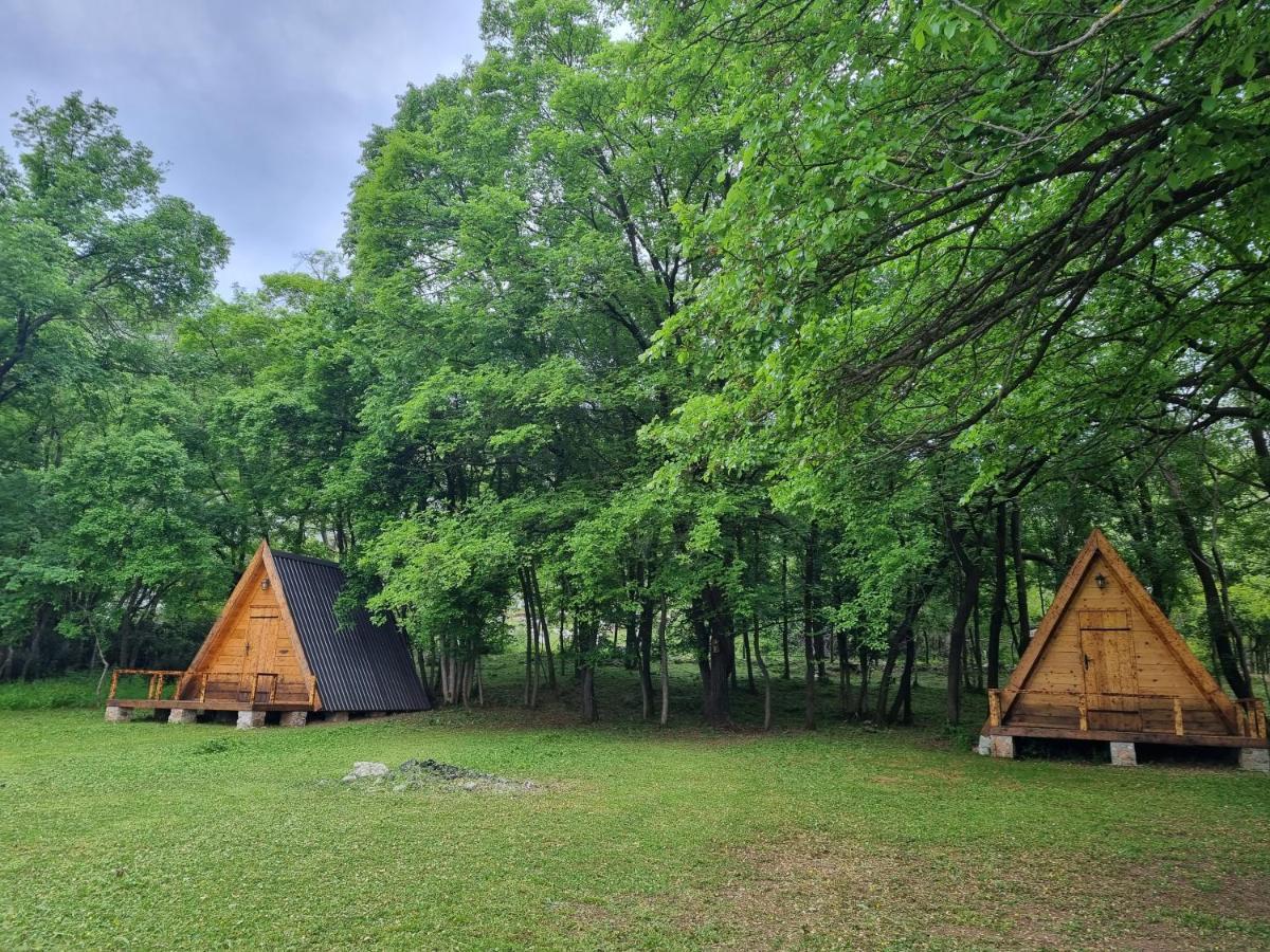 Wolf & Sheep Nature & Adventure Podgorica Exterior photo